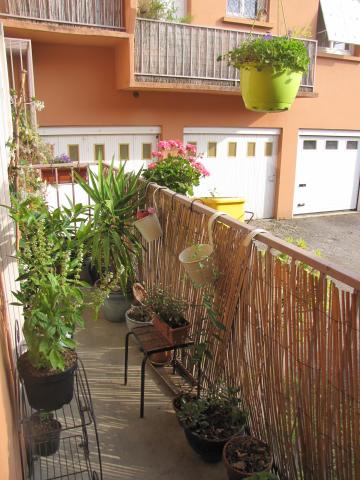 Location Appartement 3 pièces Toulouse